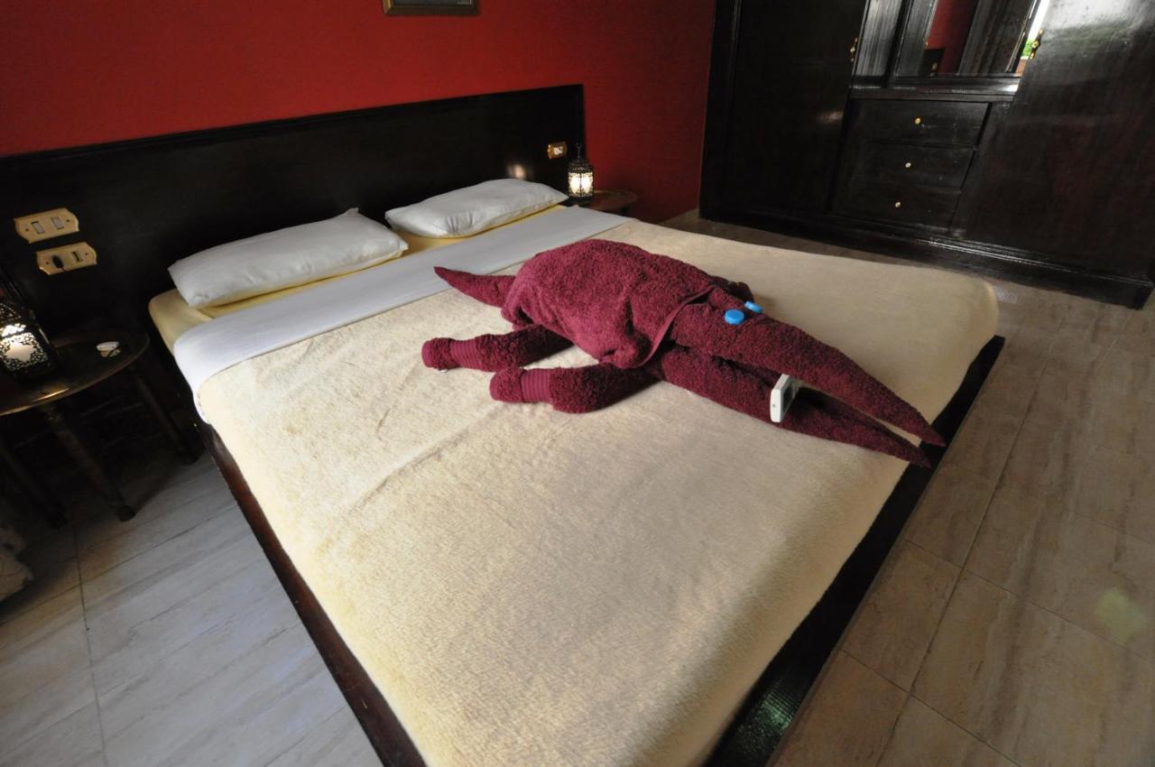 El Nakhil Hotel Luxor Eksteriør bilde